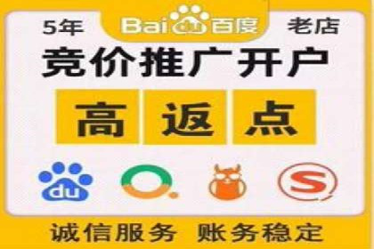 SEM主管实战技巧：案例分享与解读
